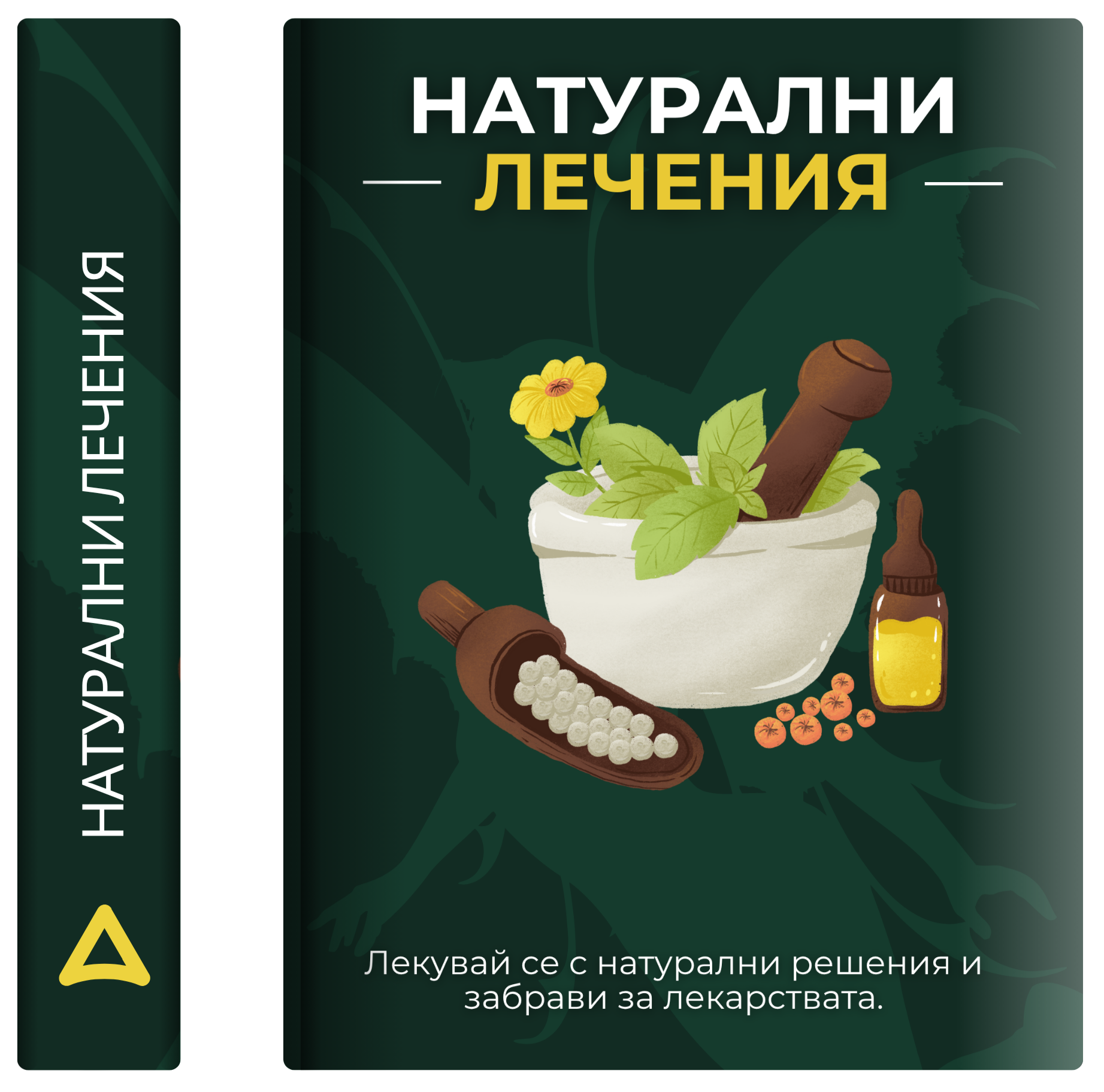 Натурални лечения (Е-книга)